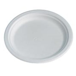 Chinet Plate White 9.75in