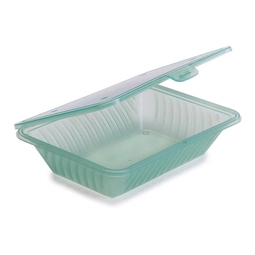 Eco To Go Container 9 x 6.5 x 2.25in