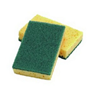Cleanworks Sponge Scourer