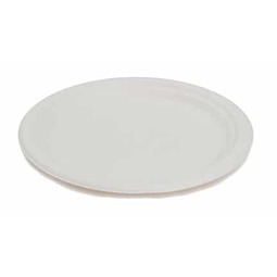 Sustain Bagasse Large Plate - 10in / 25cm