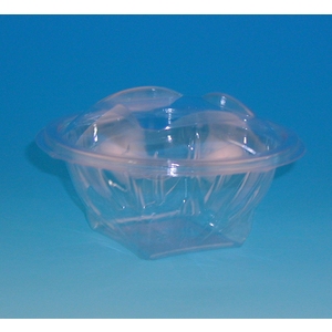 600ml Clear Salad Container With Tear-off Lid