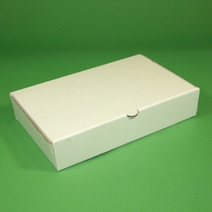 Small Bioflute Box White 241 x 155 x 50mm